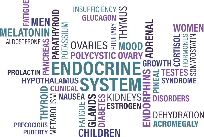 Endocrine disruptor, where we are?