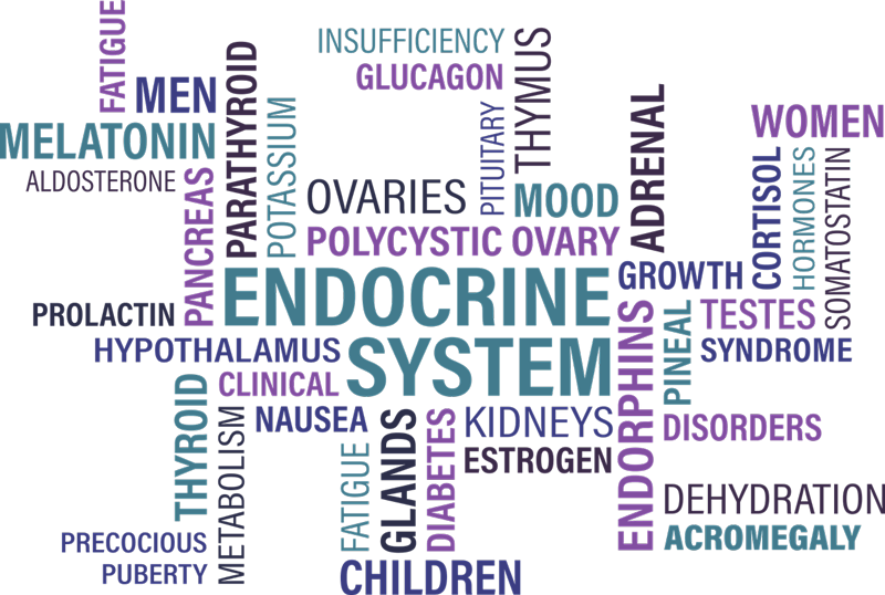 Les perturbateurs endocriniens, où en est-on ?