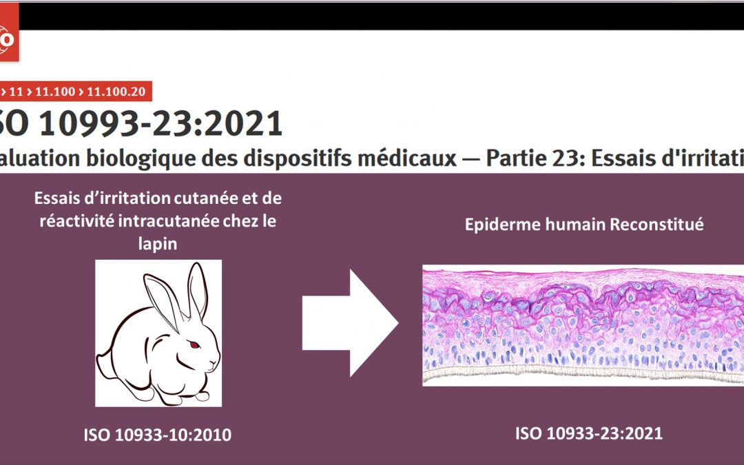 Biocompatibilité des dispositifs médicaux: analyse de la nouvelle norme ISO 10993-23:2021