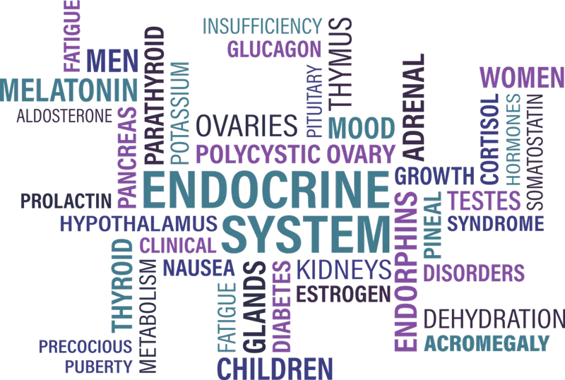 Les perturbateurs endocriniens, où en est-on ?